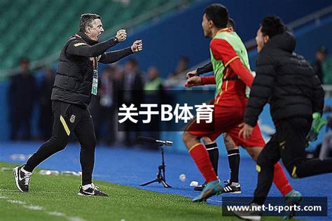 登录器 MK体育